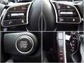 Kia Ceed / cee'd ProCeed 1.5 T-GDI DCT7 GT-Line / 18 Zoll / Leder / Grau - thumbnail 18