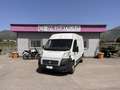 Fiat Ducato - thumbnail 5