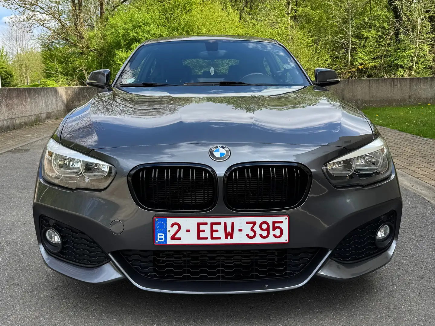 BMW 116 Gris - 2