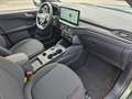 Ford Kuga ST-Line EB 137 kw Automatik beh. WSS Sitzheizung N Groen - thumbnail 12