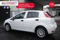 Fiat Punto FIAT Punto 1.3 MJT II 75 CV 5 porte Lounge Unicop Bianco - thumbnail 15
