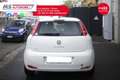 Fiat Punto FIAT Punto 1.3 MJT II 75 CV 5 porte Lounge Unicop Bianco - thumbnail 7