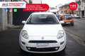 Fiat Punto FIAT Punto 1.3 MJT II 75 CV 5 porte Lounge Unicop Bianco - thumbnail 9
