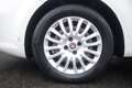 Fiat Punto FIAT Punto 1.3 MJT II 75 CV 5 porte Lounge Unicop Bianco - thumbnail 5