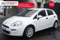 Fiat Punto FIAT Punto 1.3 MJT II 75 CV 5 porte Lounge Unicop Bianco - thumbnail 11