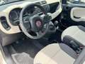 Fiat Panda Panda 1.3 mjt 16v Lounge 75cv Beige - thumbnail 5