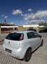 Fiat Punto 1,3 Multijet II 85 Pop Evo Grau - thumbnail 4