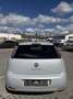 Fiat Punto 1,3 Multijet II 85 Pop Evo Grau - thumbnail 6
