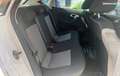 Volkswagen Polo 1.2 60 CONCEPT Bianco - thumbnail 8