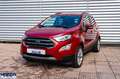 Ford EcoSport EcoSport 1.0 ecoboost Titanium s&s 125cv my20.25 - thumbnail 1
