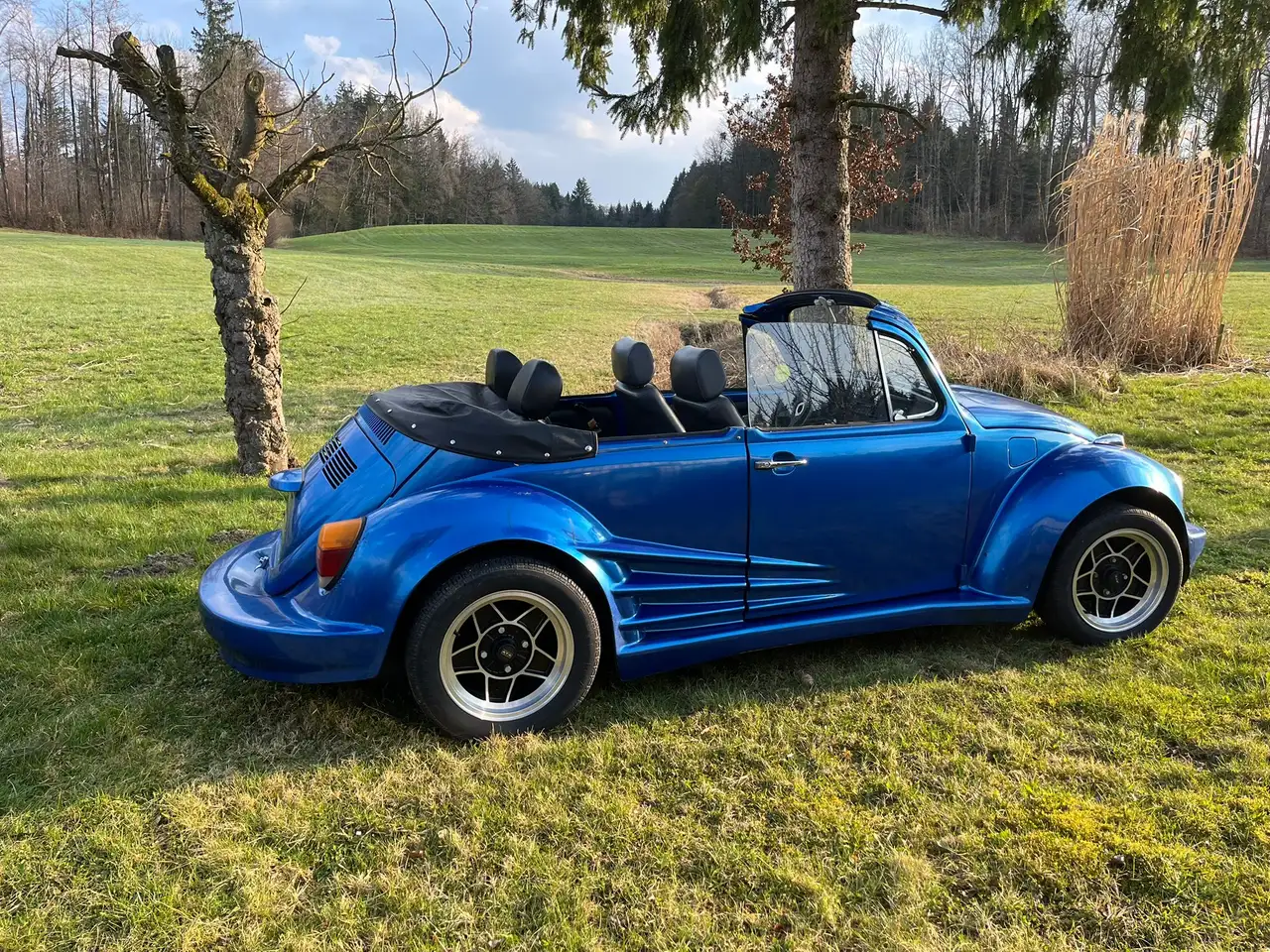 Volkswagen Käfer, foto 8