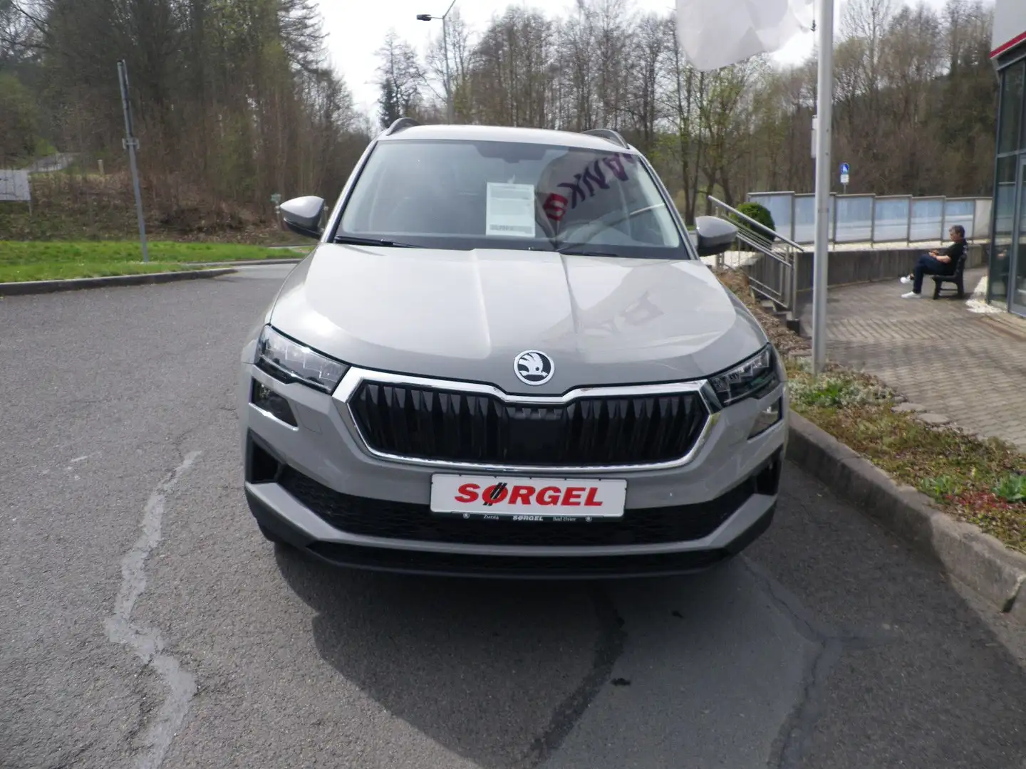 Skoda Karoq AMBITION 1.0TSI 81kW 110PS SHZ NAVI LED Gris - 2