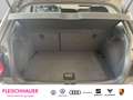 Volkswagen Polo 1.0 TSI Highline Navi LED CarPlay Kamera Climatron Gri - thumbnail 6
