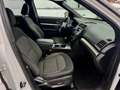 Ford Explorer XLT 2,3 Lutre Eco Buster Weiß - thumbnail 17