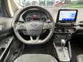 Ford EcoSport 1.0 ST-Line*Bi-Xenon*Winter-Paket*SHD Grau - thumbnail 19