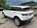 Land Rover Range Rover Evoque 5p 2.2 sd4 Dynamic Black Pack 190cv auto - thumbnail 6