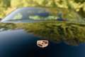 Porsche 996 - 911 TARGA / MANUAL / HEATED SEATS / COLLECTOR Nero - thumbnail 8