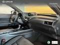 Lexus UX 250h Business 2WD Groen - thumbnail 6