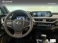 Lexus UX 250h Business 2WD Groen - thumbnail 11