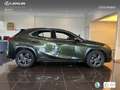 Lexus UX 250h Business 2WD Groen - thumbnail 3