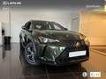 Lexus UX 250h Business 2WD Groen - thumbnail 12