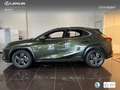 Lexus UX 250h Business 2WD Groen - thumbnail 13