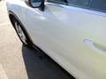 Audi Q3 35 TDI Advanced S tronic 110kW Blanco - thumbnail 15