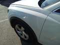Audi Q3 35 TDI Advanced S tronic 110kW Blanco - thumbnail 13