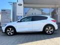 Ford Focus 1.0 EcoBoost Hybrid Active Bianco - thumbnail 5
