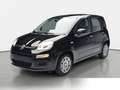 Fiat Panda Panda 1.0 Mild Hybrid Pandina Icon (EURO 6e) Blau - thumbnail 6