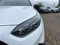 Kia Ceed / cee'd Ceed 1.0 T-GDI 120 Nightline Edition KAMERA Wit - thumbnail 16