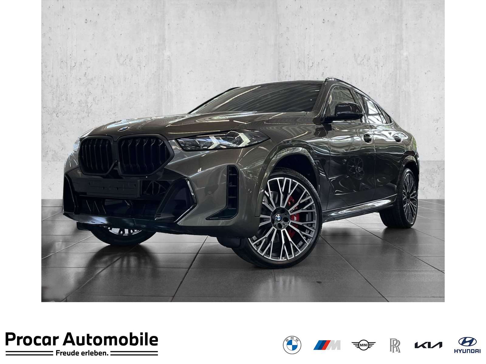 BMW X6