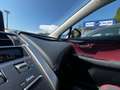 Lexus NX 300 NX 300h 2.5 F Sport 4wd cvt - thumbnail 23