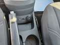 Ford Fiesta Trend Zahnriemen neu!!! Blauw - thumbnail 9