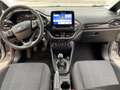 Ford Fiesta Fiesta 5p 1.5 ecoblue Business 85cv my20.25 Silber - thumbnail 13