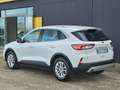 Ford Kuga 1.5 120 2WD Titanium 59.000 KM. Weiß - thumbnail 3