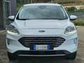 Ford Kuga 1.5 120 2WD Titanium 59.000 KM. Weiß - thumbnail 7
