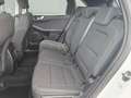 Ford Kuga 1.5 120 2WD Titanium 59.000 KM. Weiß - thumbnail 18