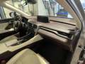 Lexus RX 450h 4WD President Line | Mark Levinson Audio Szürke - thumbnail 18