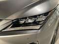 Lexus RX 450h 4WD President Line | Mark Levinson Audio Grijs - thumbnail 10