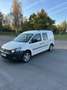 Volkswagen Caddy Kombi Maxi Trendline 1,6 TDI DPF Weiß - thumbnail 2
