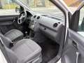 Volkswagen Caddy Kombi Maxi Trendline 1,6 TDI DPF Weiß - thumbnail 5