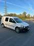 Volkswagen Caddy Kombi Maxi Trendline 1,6 TDI DPF Weiß - thumbnail 1