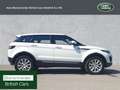 Land Rover Range Rover Evoque eD4 Pure NUR HÄNDLER EXPORT Білий - thumbnail 6