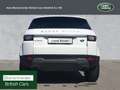 Land Rover Range Rover Evoque eD4 Pure NUR HÄNDLER EXPORT Blanc - thumbnail 7