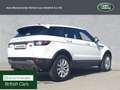 Land Rover Range Rover Evoque eD4 Pure NUR HÄNDLER EXPORT Bílá - thumbnail 2