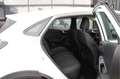 Ford Puma 1.0 EcoBoost Hybrid Titanium | Cruise | Navi | Car Weiß - thumbnail 30