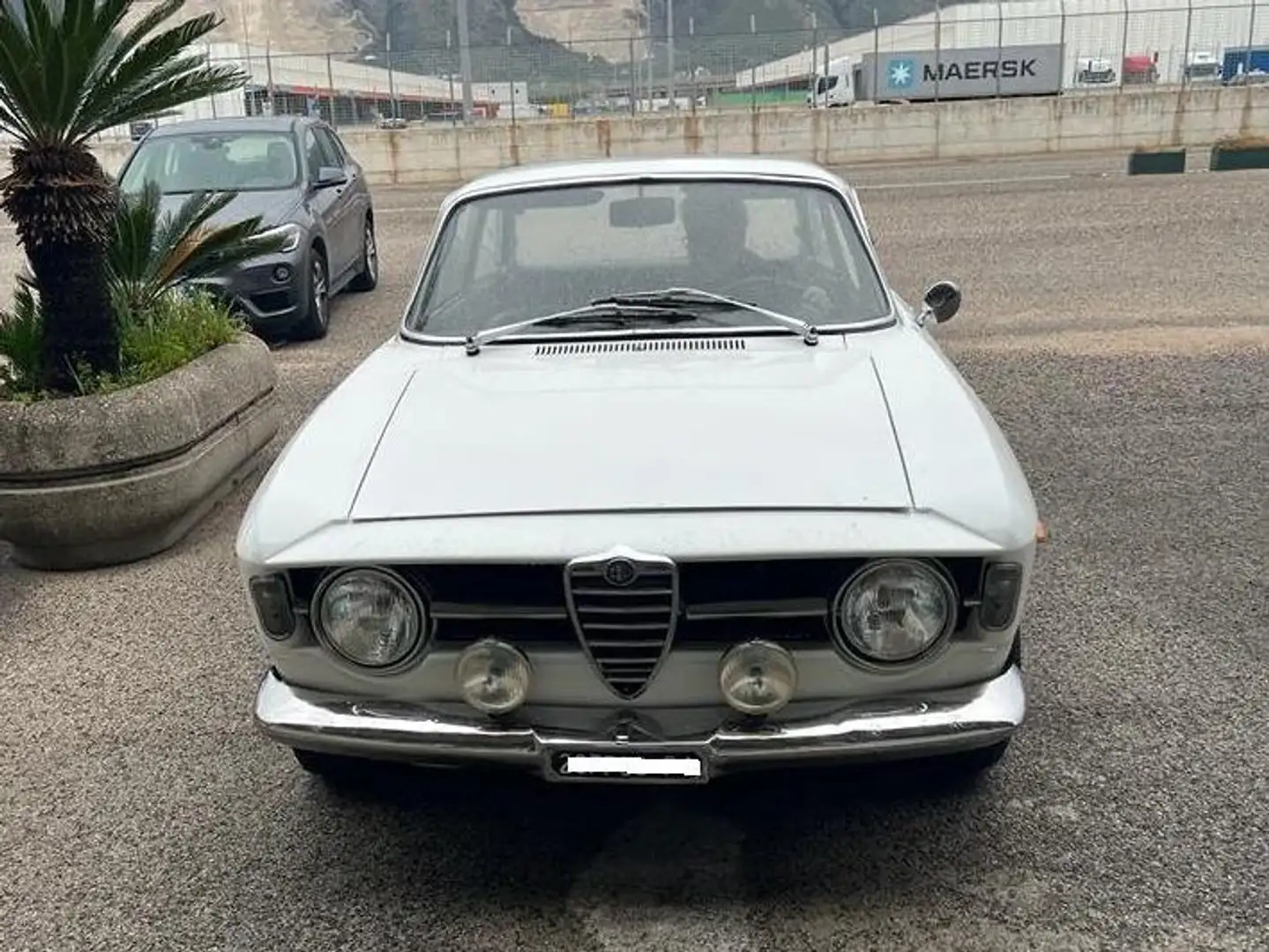Alfa Romeo GT Scalino Weiß - 1