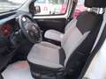 Fiat Fiorino 1.4 SX - 5 POSTI Bianco - thumbnail 5