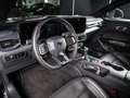 Ford Mustang GT 5.0 Ti-VCT V8 *MagneRide*B&O*APPLE*KAMERA* Grau - thumbnail 10
